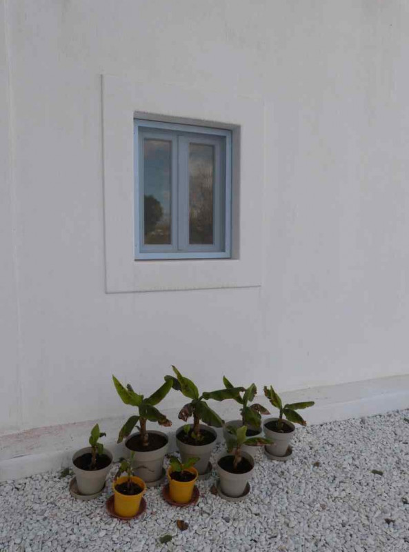 finca-blanca - P1090168 (arquitectura-sostenible)