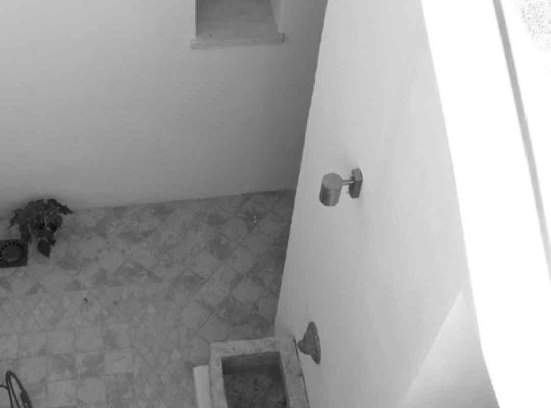 casa-maxwell - foto04 (arquitectura-sostenible)